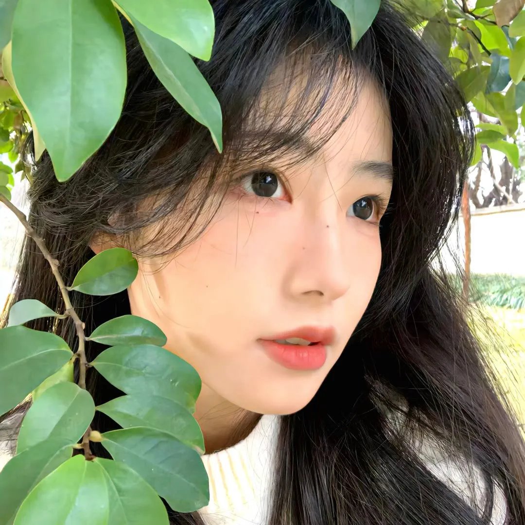 掌门低调点 动态漫第一季